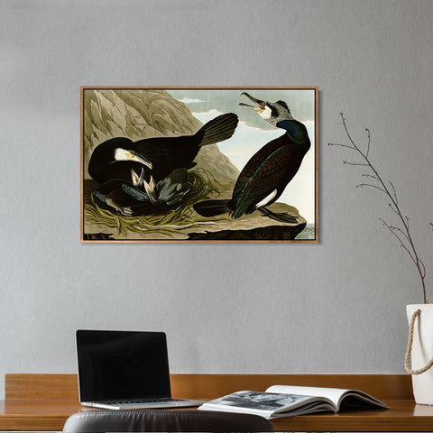 INVIN ART Framed Canvas Giclee Print Common Cormorant by John James Audubon Wall Art Living Room Home Office Decorations