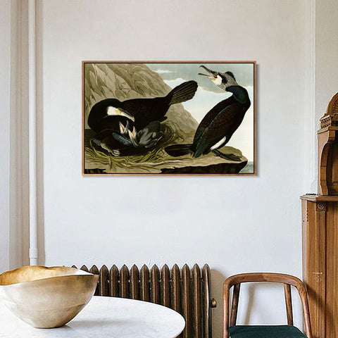 INVIN ART Framed Canvas Giclee Print Common Cormorant by John James Audubon Wall Art Living Room Home Office Decorations