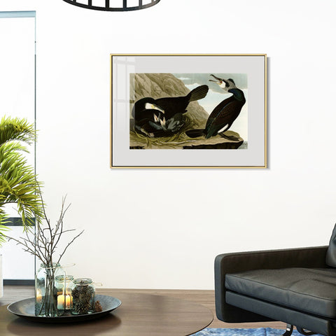 INVIN ART Metal Framed Canvas Giclee Print Common Cormorant by John James Audubon Wall Art Living Room Home Office Decorations