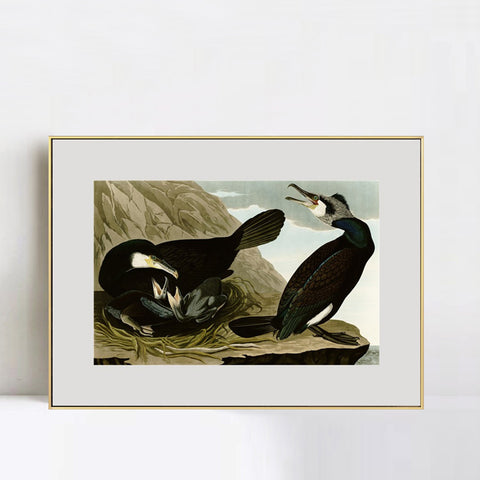 INVIN ART Metal Framed Canvas Giclee Print Common Cormorant by John James Audubon Wall Art Living Room Home Office Decorations