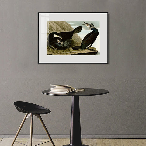 INVIN ART Metal Framed Canvas Giclee Print Common Cormorant by John James Audubon Wall Art Living Room Home Office Decorations