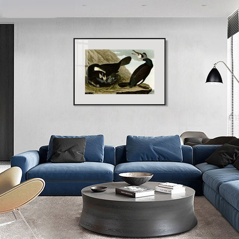 INVIN ART Metal Framed Canvas Giclee Print Common Cormorant by John James Audubon Wall Art Living Room Home Office Decorations