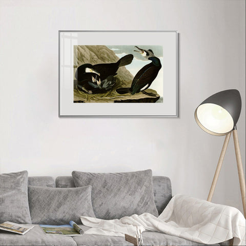 INVIN ART Metal Framed Canvas Giclee Print Common Cormorant by John James Audubon Wall Art Living Room Home Office Decorations