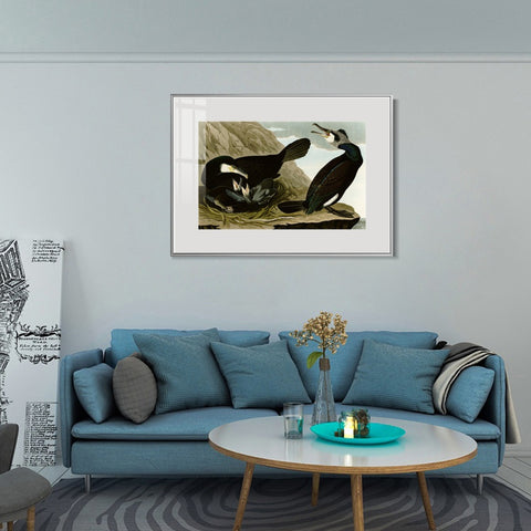 INVIN ART Metal Framed Canvas Giclee Print Common Cormorant by John James Audubon Wall Art Living Room Home Office Decorations