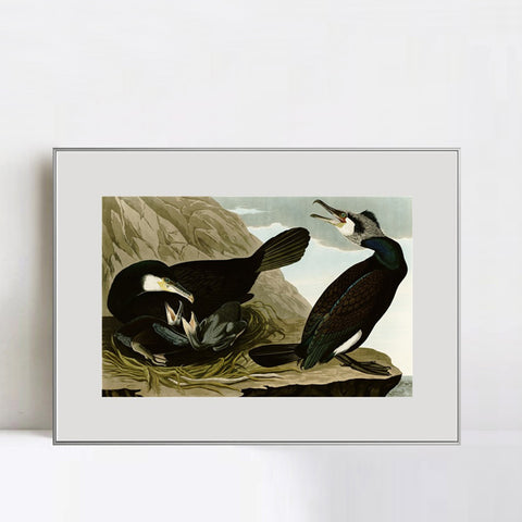 INVIN ART Metal Framed Canvas Giclee Print Common Cormorant by John James Audubon Wall Art Living Room Home Office Decorations