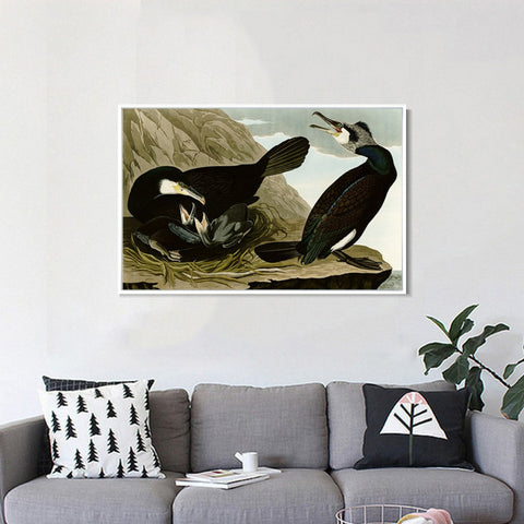 INVIN ART Framed Canvas Giclee Print Common Cormorant by John James Audubon Wall Art Living Room Home Office Decorations