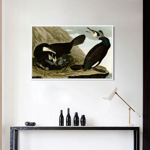 INVIN ART Framed Canvas Giclee Print Common Cormorant by John James Audubon Wall Art Living Room Home Office Decorations
