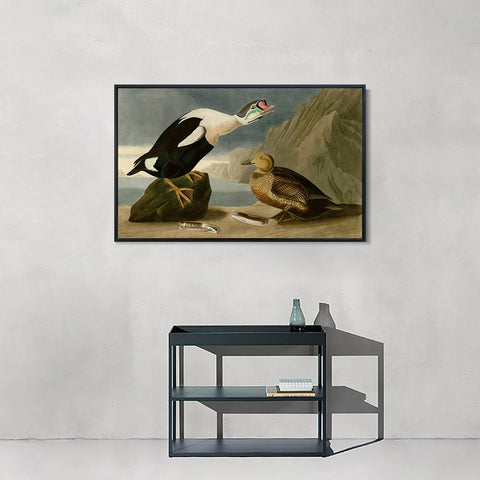 INVIN ART Framed Canvas Giclee Print King Duck by John James Audubon Wall Art Living Room Home Office Decorations