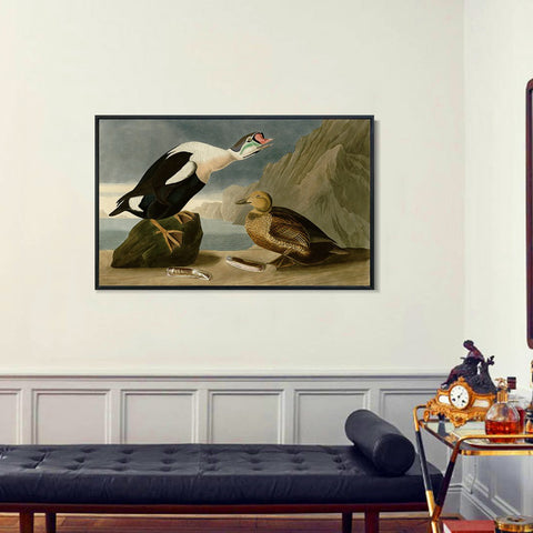 INVIN ART Framed Canvas Giclee Print King Duck by John James Audubon Wall Art Living Room Home Office Decorations
