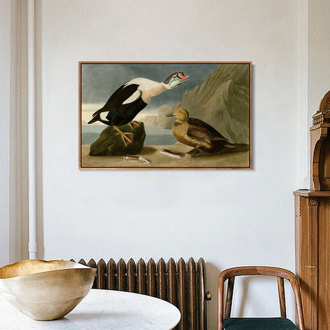 INVIN ART Framed Canvas Giclee Print King Duck by John James Audubon Wall Art Living Room Home Office Decorations