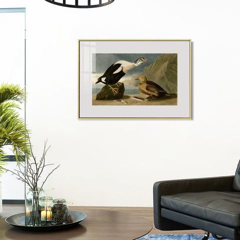 INVIN ART Metal Framed Canvas Giclee Print King Duck by John James Audubon Wall Art Living Room Home Office Decorations