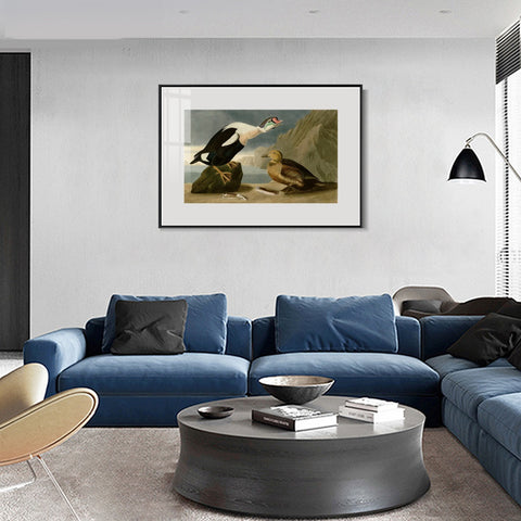 INVIN ART Metal Framed Canvas Giclee Print King Duck by John James Audubon Wall Art Living Room Home Office Decorations