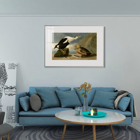INVIN ART Metal Framed Canvas Giclee Print King Duck by John James Audubon Wall Art Living Room Home Office Decorations