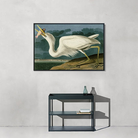 INVIN ART Framed Canvas Giclee Print Great White Heron by John James Audubon Wall Art Living Room Home Office Decorations
