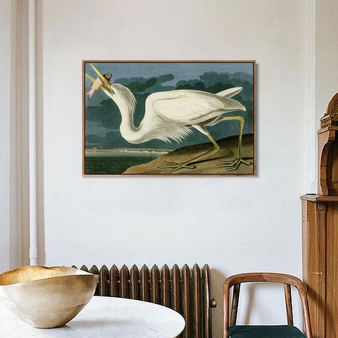 INVIN ART Framed Canvas Giclee Print Great White Heron by John James Audubon Wall Art Living Room Home Office Decorations