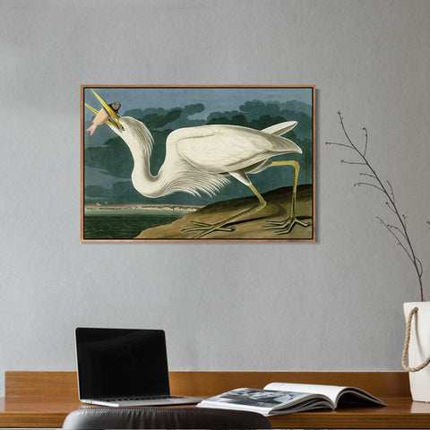 INVIN ART Framed Canvas Giclee Print Great White Heron by John James Audubon Wall Art Living Room Home Office Decorations