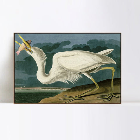 INVIN ART Framed Canvas Giclee Print Great White Heron by John James Audubon Wall Art Living Room Home Office Decorations