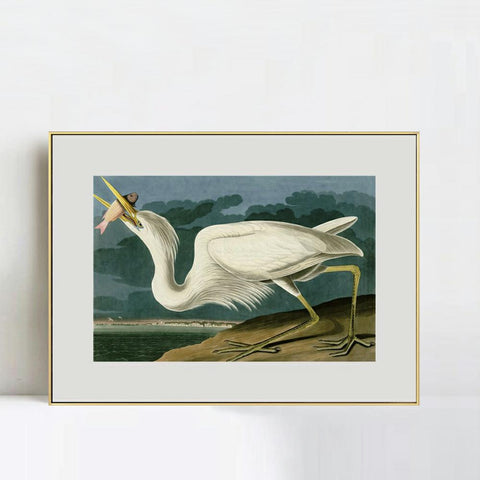 INVIN ART Metal Framed Canvas Giclee Print Great White Heron by John James Audubon Wall Art Living Room Home Office Decorations