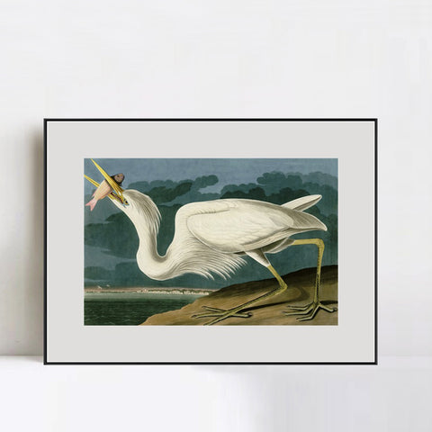 INVIN ART Metal Framed Canvas Giclee Print Great White Heron by John James Audubon Wall Art Living Room Home Office Decorations