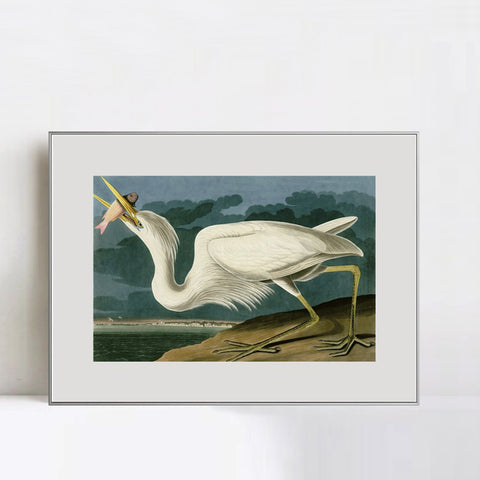 INVIN ART Metal Framed Canvas Giclee Print Great White Heron by John James Audubon Wall Art Living Room Home Office Decorations