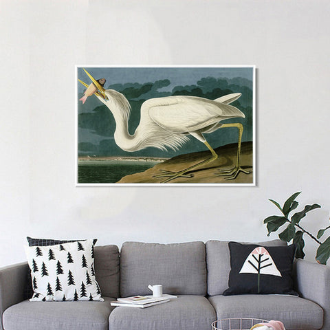 INVIN ART Framed Canvas Giclee Print Great White Heron by John James Audubon Wall Art Living Room Home Office Decorations