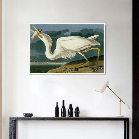 INVIN ART Framed Canvas Giclee Print Great White Heron by John James Audubon Wall Art Living Room Home Office Decorations