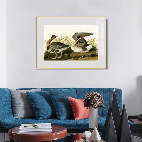 INVIN ART Metal Framed Canvas Giclee Print White-fronted Goose by John James Audubon Wall Art Living Room Home Office Decorations