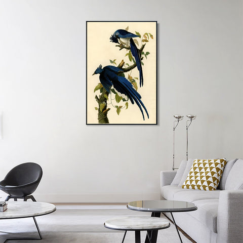 INVIN ART Framed Canvas Giclee Print Columbia Jay by John James Audubon Wall Art Living Room Home Office Decorations