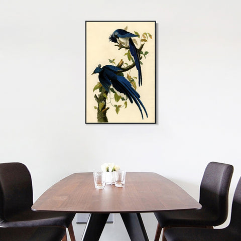 INVIN ART Framed Canvas Giclee Print Columbia Jay by John James Audubon Wall Art Living Room Home Office Decorations