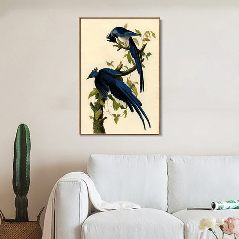 INVIN ART Framed Canvas Giclee Print Columbia Jay by John James Audubon Wall Art Living Room Home Office Decorations
