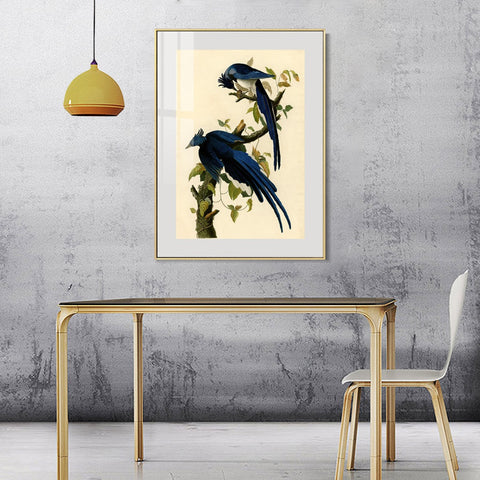 INVIN ART Metal Framed Canvas Giclee Print Columbia Jay by John James Audubon Wall Art Living Room Home Office Decorations