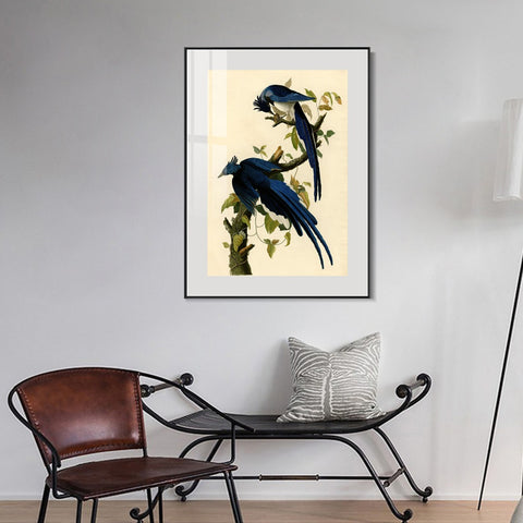 INVIN ART Metal Framed Canvas Giclee Print Columbia Jay by John James Audubon Wall Art Living Room Home Office Decorations