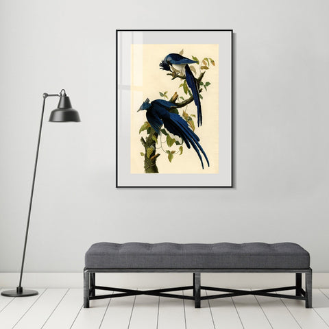 INVIN ART Metal Framed Canvas Giclee Print Little Screech Owl by John James Audubon Wall Art Living Room Home Office Decorations
