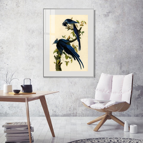 INVIN ART Metal Framed Canvas Giclee Print Little Screech Owl by John James Audubon Wall Art Living Room Home Office Decorations