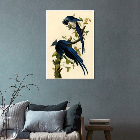 INVIN ART Framed Canvas Giclee Print Columbia Jay by John James Audubon Wall Art Living Room Home Office Decorations