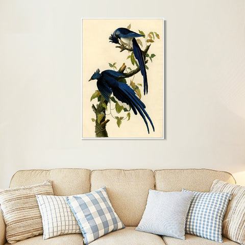 INVIN ART Framed Canvas Giclee Print Columbia Jay by John James Audubon Wall Art Living Room Home Office Decorations