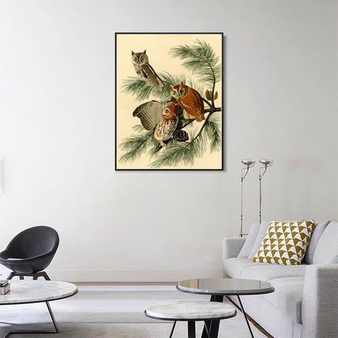 INVIN ART Framed Canvas Giclee Print Little Screech Owl by John James Audubon Wall Art Living Room Home Office Decorations