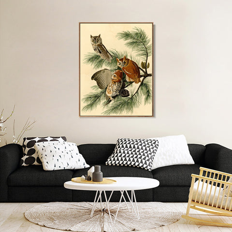 INVIN ART Framed Canvas Giclee Print Little Screech Owl by John James Audubon Wall Art Living Room Home Office Decorations