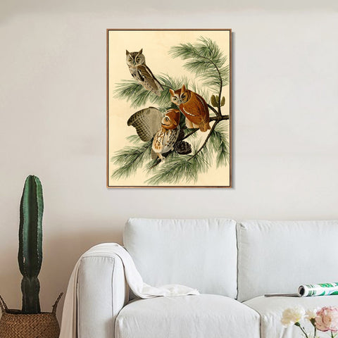 INVIN ART Framed Canvas Giclee Print Little Screech Owl by John James Audubon Wall Art Living Room Home Office Decorations