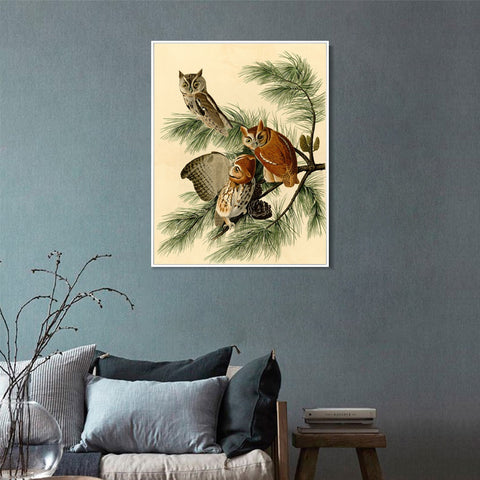 INVIN ART Framed Canvas Giclee Print Little Screech Owl by John James Audubon Wall Art Living Room Home Office Decorations