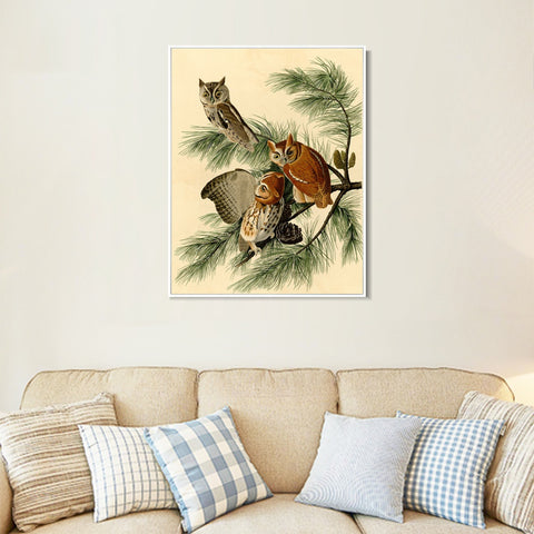 INVIN ART Framed Canvas Giclee Print Little Screech Owl by John James Audubon Wall Art Living Room Home Office Decorations