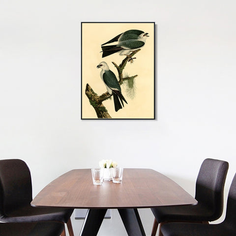 INVIN ART Framed Canvas Giclee Print Mississippi Kite by John James Audubon Wall Art Living Room Home Office Decorations