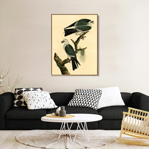 INVIN ART Framed Canvas Giclee Print Mississippi Kite by John James Audubon Wall Art Living Room Home Office Decorations