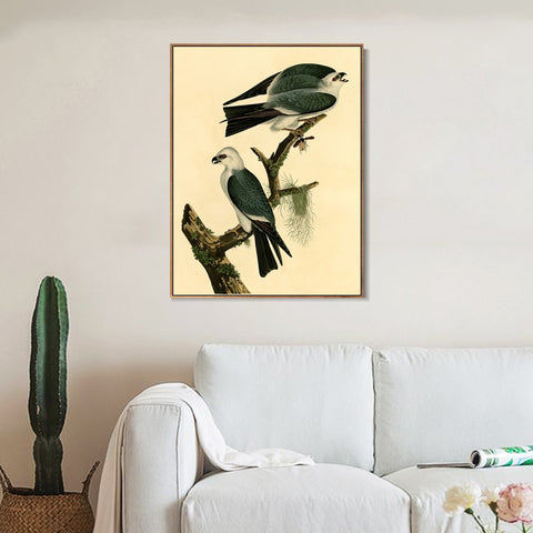 INVIN ART Framed Canvas Giclee Print Mississippi Kite by John James Audubon Wall Art Living Room Home Office Decorations