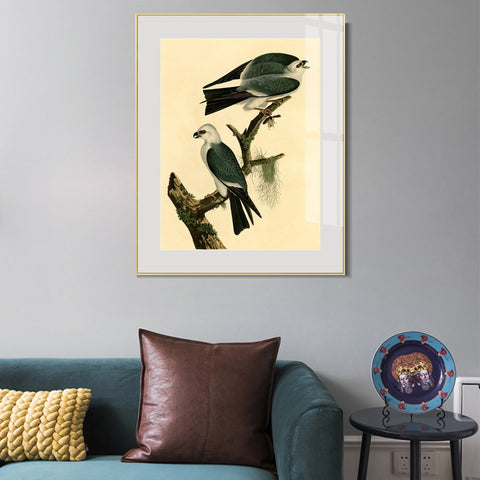 INVIN ART Metal Framed Canvas Giclee Print Mississippi Kite by John James Audubon Wall Art Living Room Home Office Decorations