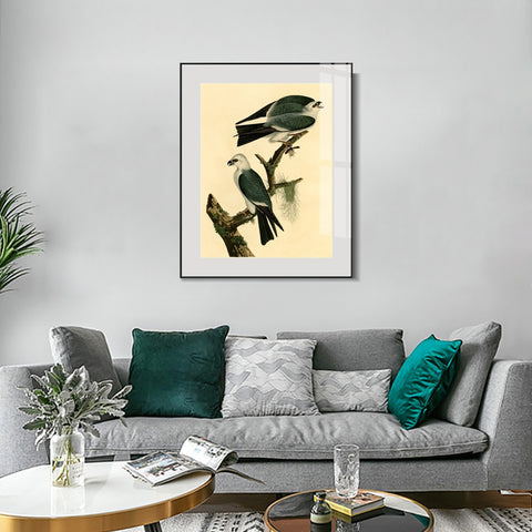 INVIN ART Metal Framed Canvas Giclee Print Mississippi Kite by John James Audubon Wall Art Living Room Home Office Decorations