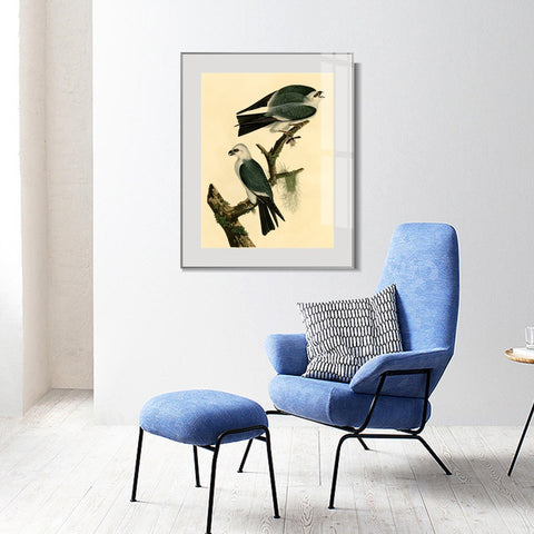 INVIN ART Metal Framed Canvas Giclee Print Mississippi Kite by John James Audubon Wall Art Living Room Home Office Decorations