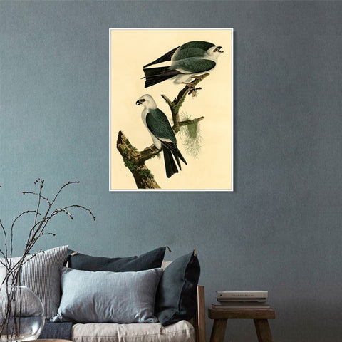 INVIN ART Framed Canvas Giclee Print Mississippi Kite by John James Audubon Wall Art Living Room Home Office Decorations