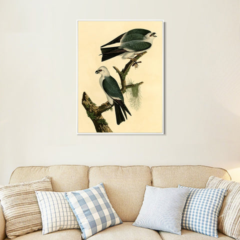INVIN ART Framed Canvas Giclee Print Mississippi Kite by John James Audubon Wall Art Living Room Home Office Decorations