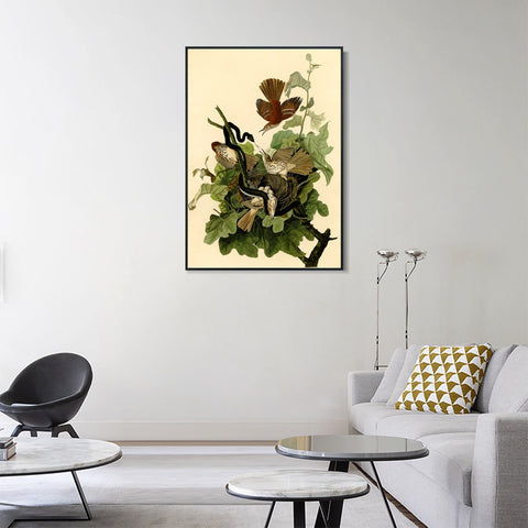 INVIN ART Framed Canvas Giclee Print Ferruginous Thrush by John James Audubon Wall Art Living Room Home Office Decorations